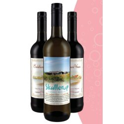 Chile Sauvignon Blanc - Med egen logo