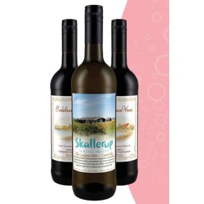 Chile Sauvignon Blanc - Med egen logo