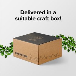 Toppflaske enkeltvegg drikkeflaske -1 fargetrykk